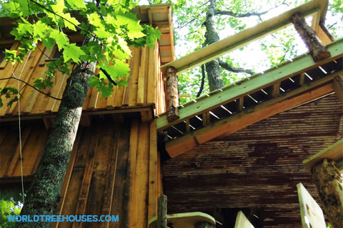 World-Treehouses-recycled-lumber-Asheville