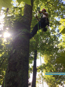 Western NC treehouse builder