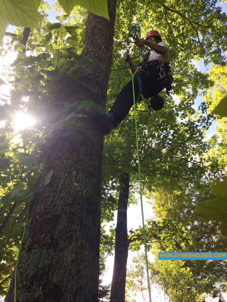 WNC's tree house builders