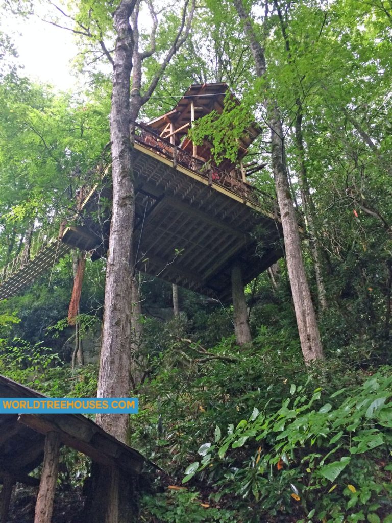 WNC tree house builder