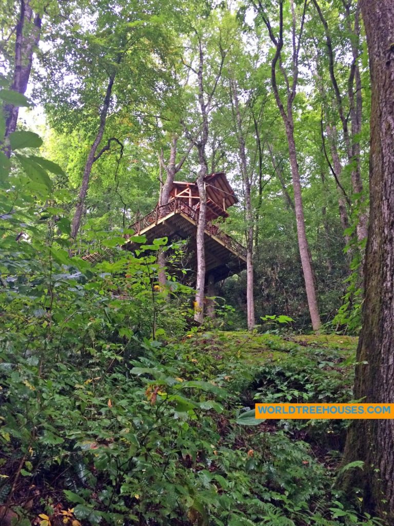 WNC tree house builder