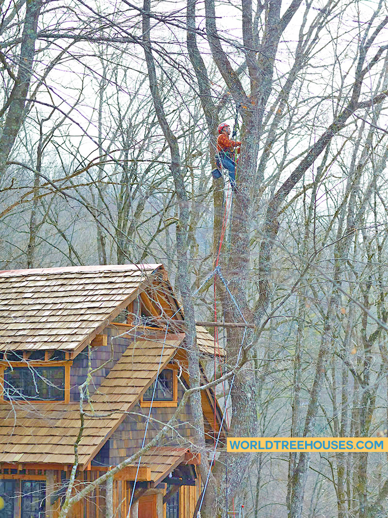 NC treehouse builders