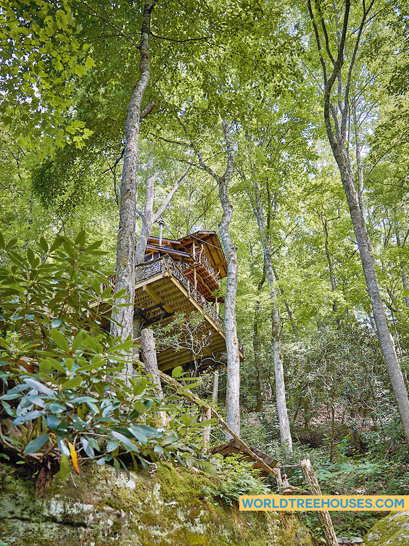 NC treehouse builders