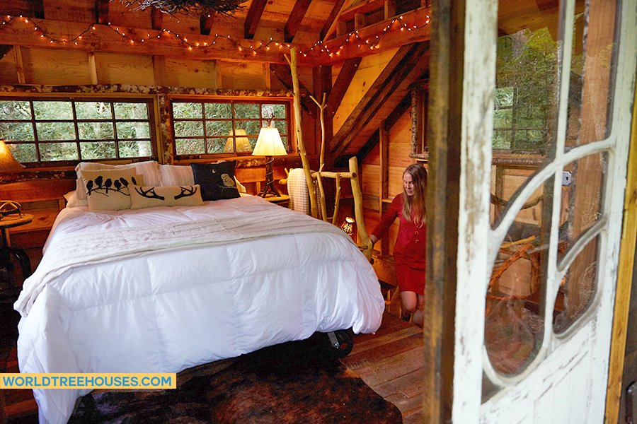 asheville tree house builder