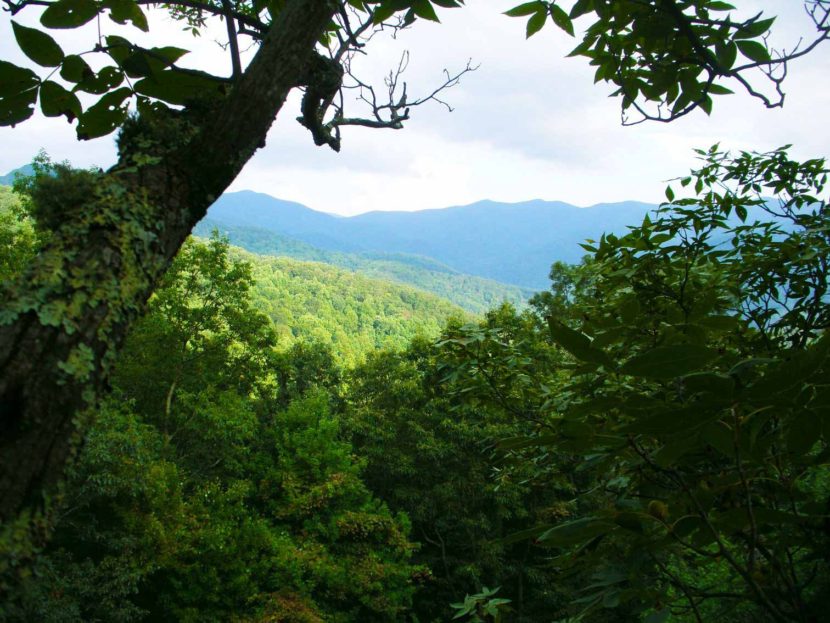 treehouse meditation