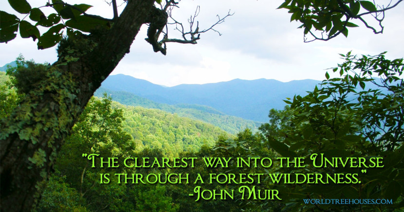 John Muir Forest Wilderness World Trehouses