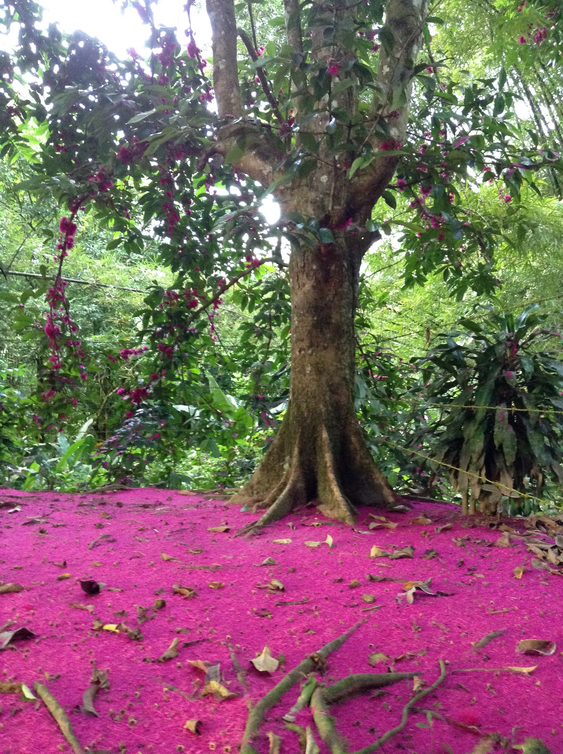 Do the trees want to be built in?