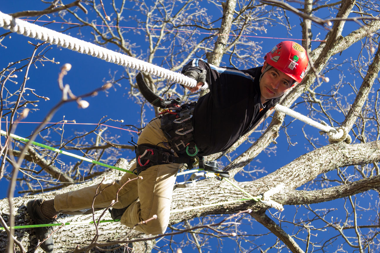 Want an Asheville treehouse? Read World Treehouses’ featured article in The Laurel of Asheville!