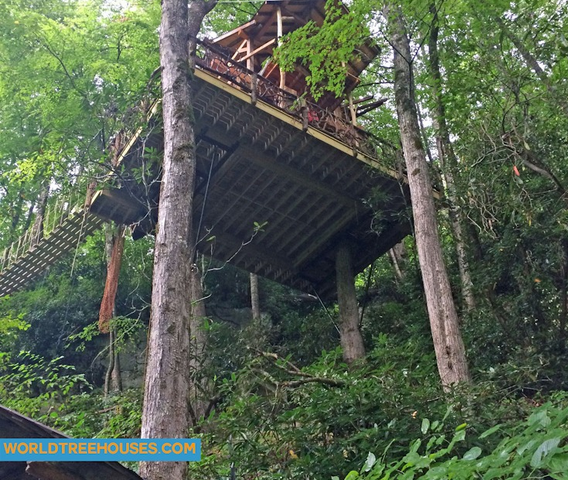WNC TREE HOUSE BUILDERS : Panthertown From Below with a Bridge