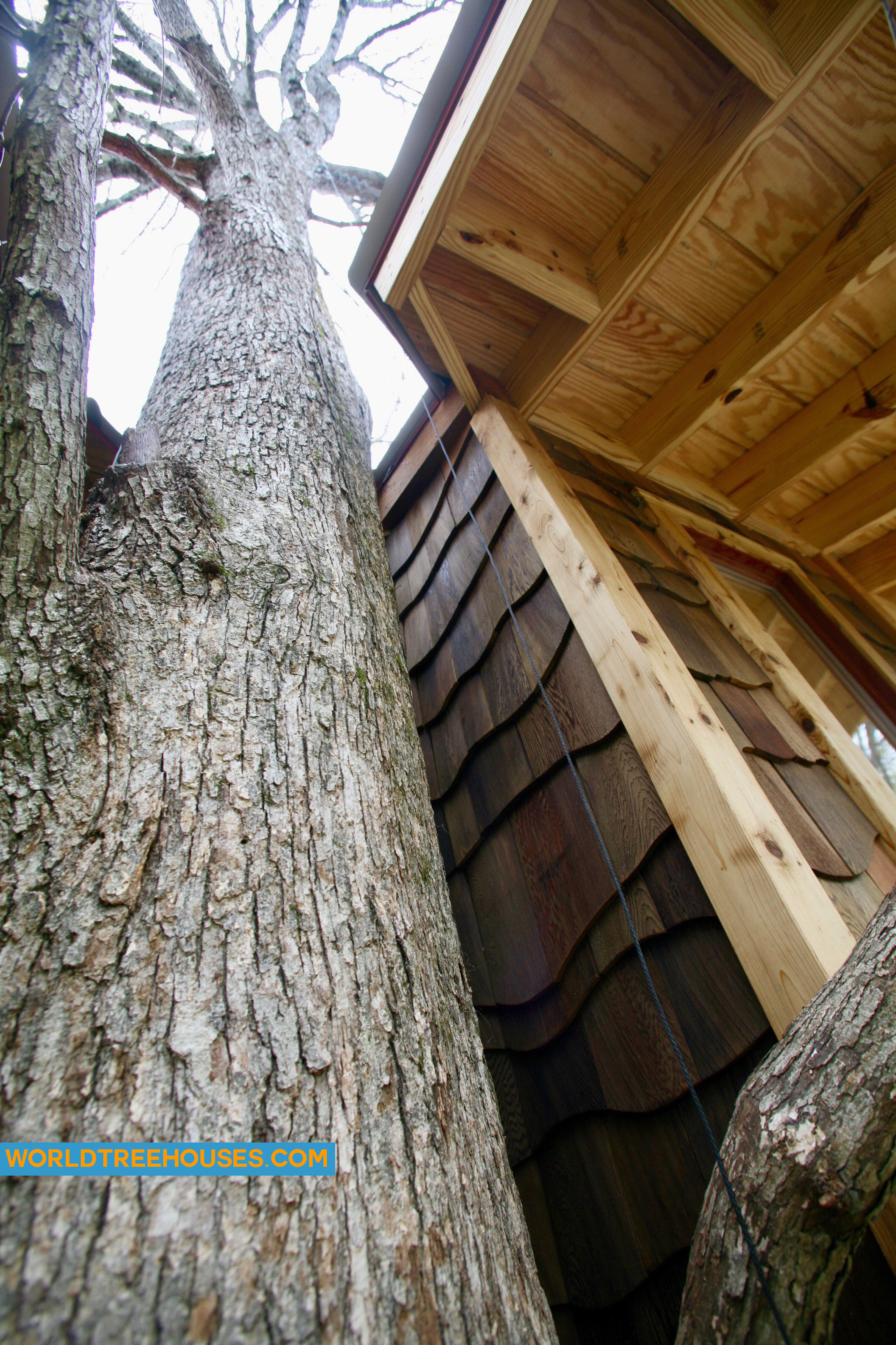 NC treehouse builders: Building with the grace and beauty of the trees