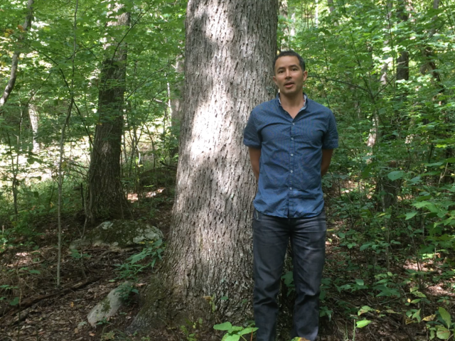 NC tree house builder: Picking trees to support your treehouse