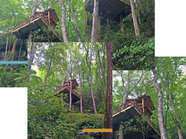 WNC tree house builder:View from Below