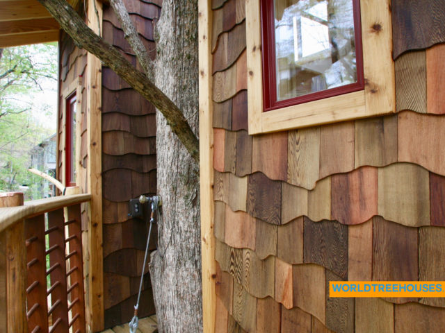 WNC treehouse builders : Tree and House