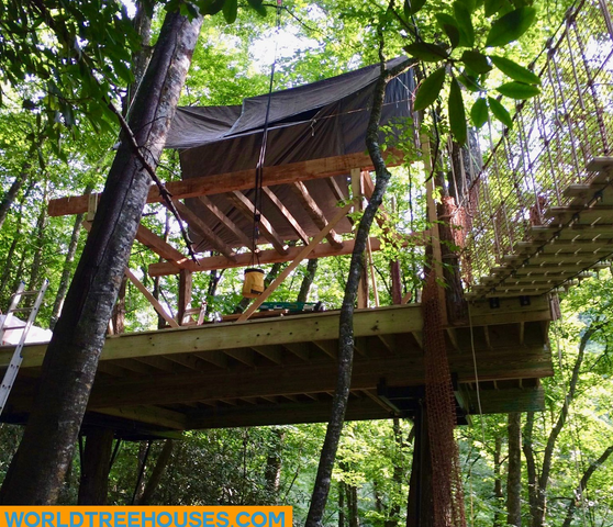 NC tree house builders : Panthertown First Floor Framing Begins