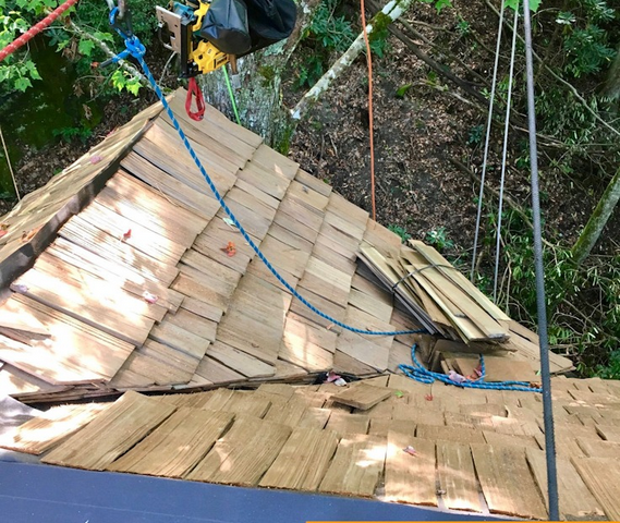 Asheville Tree House Builder : Panthertown Cedar Shake Roofing