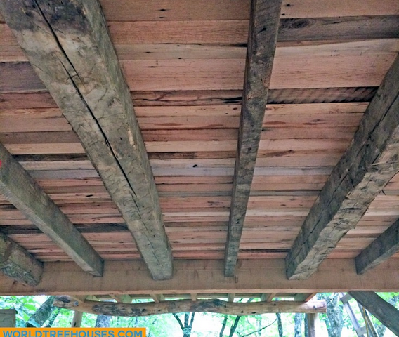 Western NC tree house builder: Panthertown View from First Floor