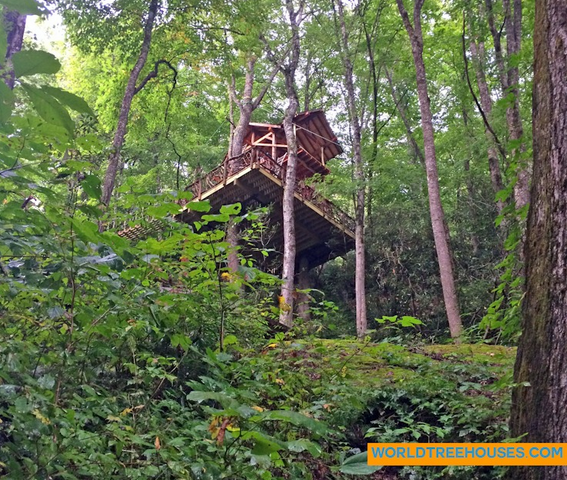 WNC treehouse builders : Panthertown Treehouse in Nature