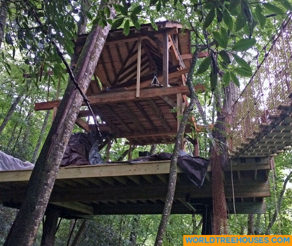 WNC tree house builder : Panthertown treehouse shapes