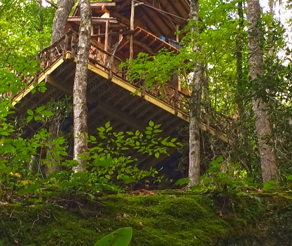 NC treehouse builders : Panthertown lush setting view from below