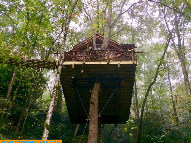 WNC treehouse builder : A House in the Canopy