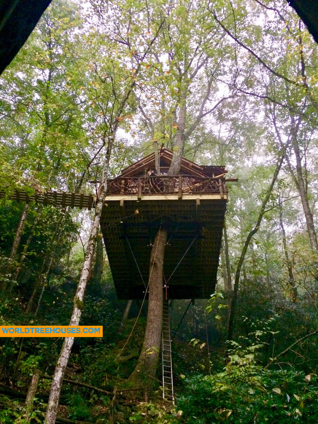 WNC treehouse builder : A House in the Canopy