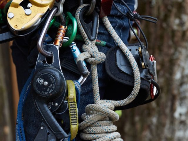 NC treehouse builders: Panthertown Adam Laufer in harness for climbing