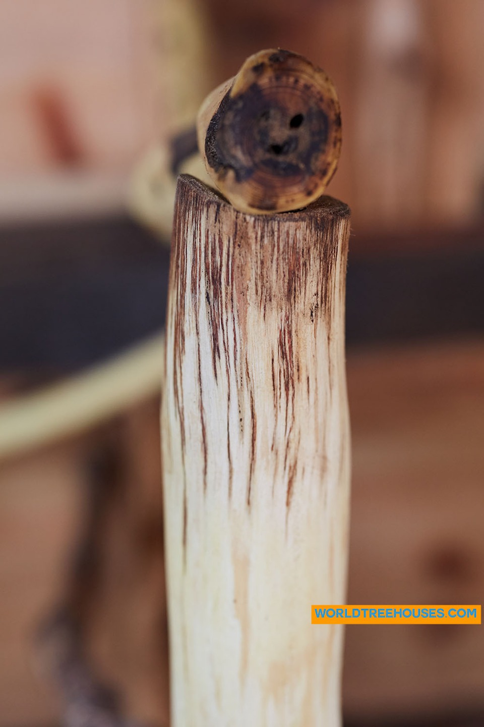 Asheville treehouse builder : Panthertown Railing Detail 1