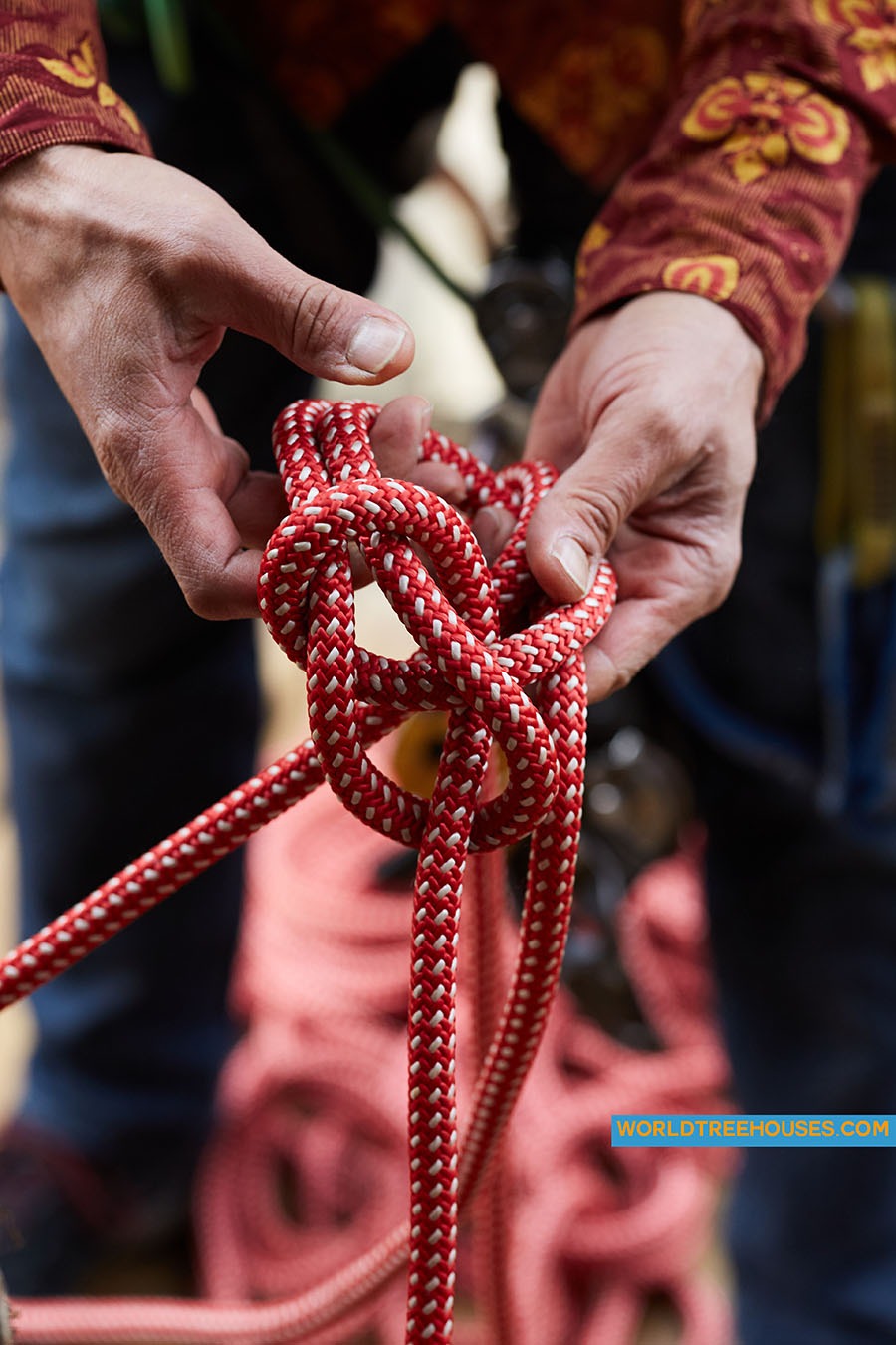 WNC tree house builder : Panthertown Adam Laufer treehouse builder tying knot