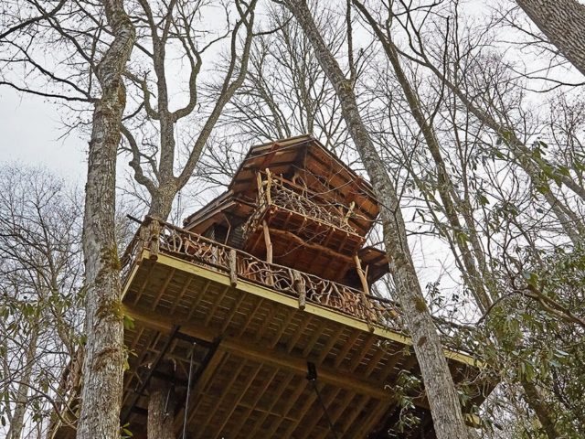WNC treehouse builders : Panthertown treehouse – looking up up up!