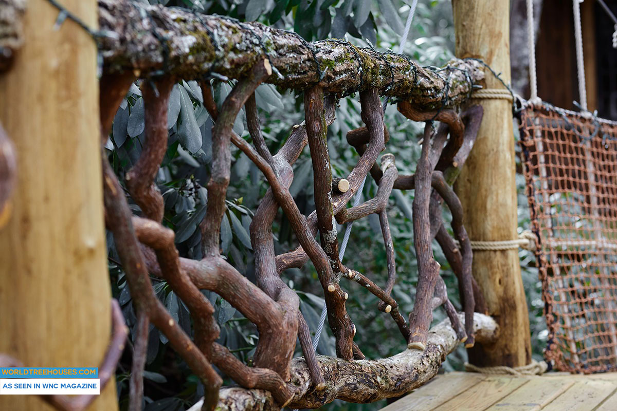 NC treehouse builders : Panthertown treehouse mountain laurel railing