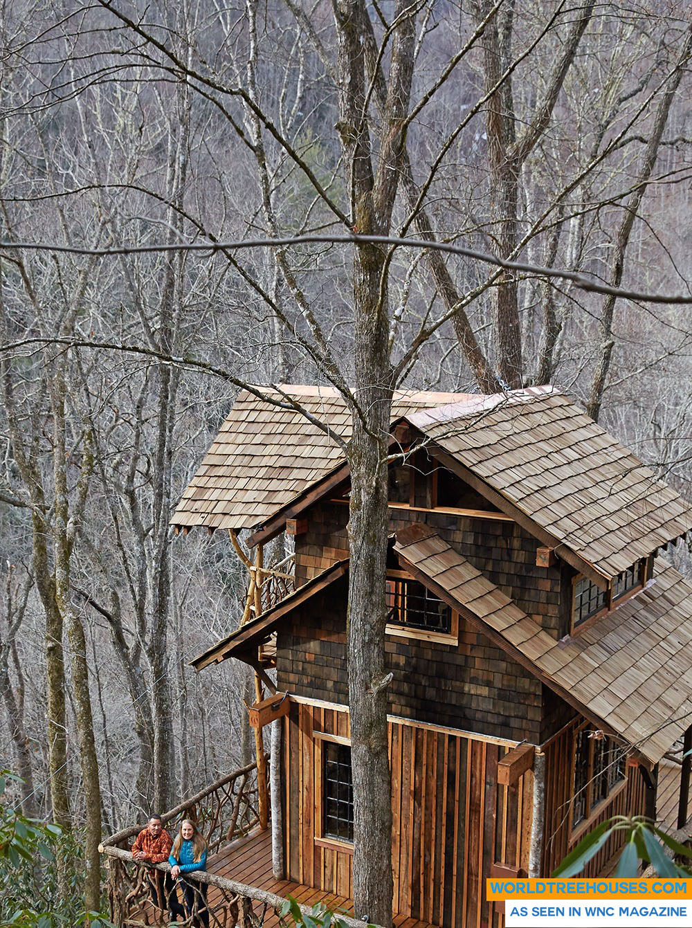 Asheville tree house builder : A Retreat to Honor the Natural World