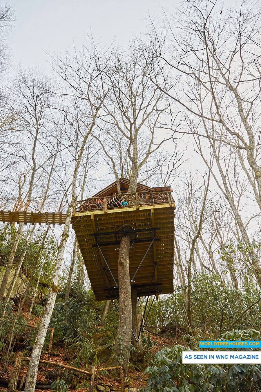 WNC treehouse builders : A Nest in the Trees!