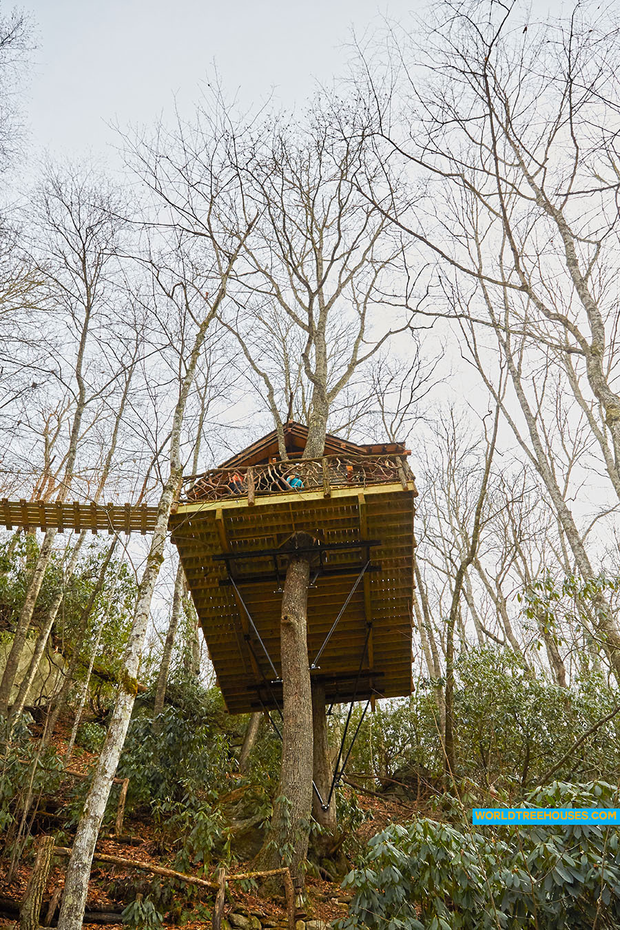 WNC tree house builders: Life in the Trees Has Never Been Better!