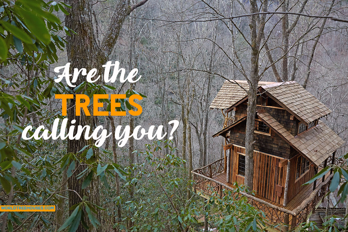 WNC treehouse builders : Are the trees calling you?