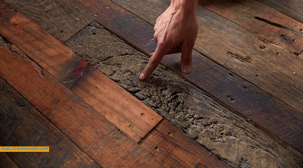 Asheville tree house builder : Hardwood Floor of Vintage Barn Boards