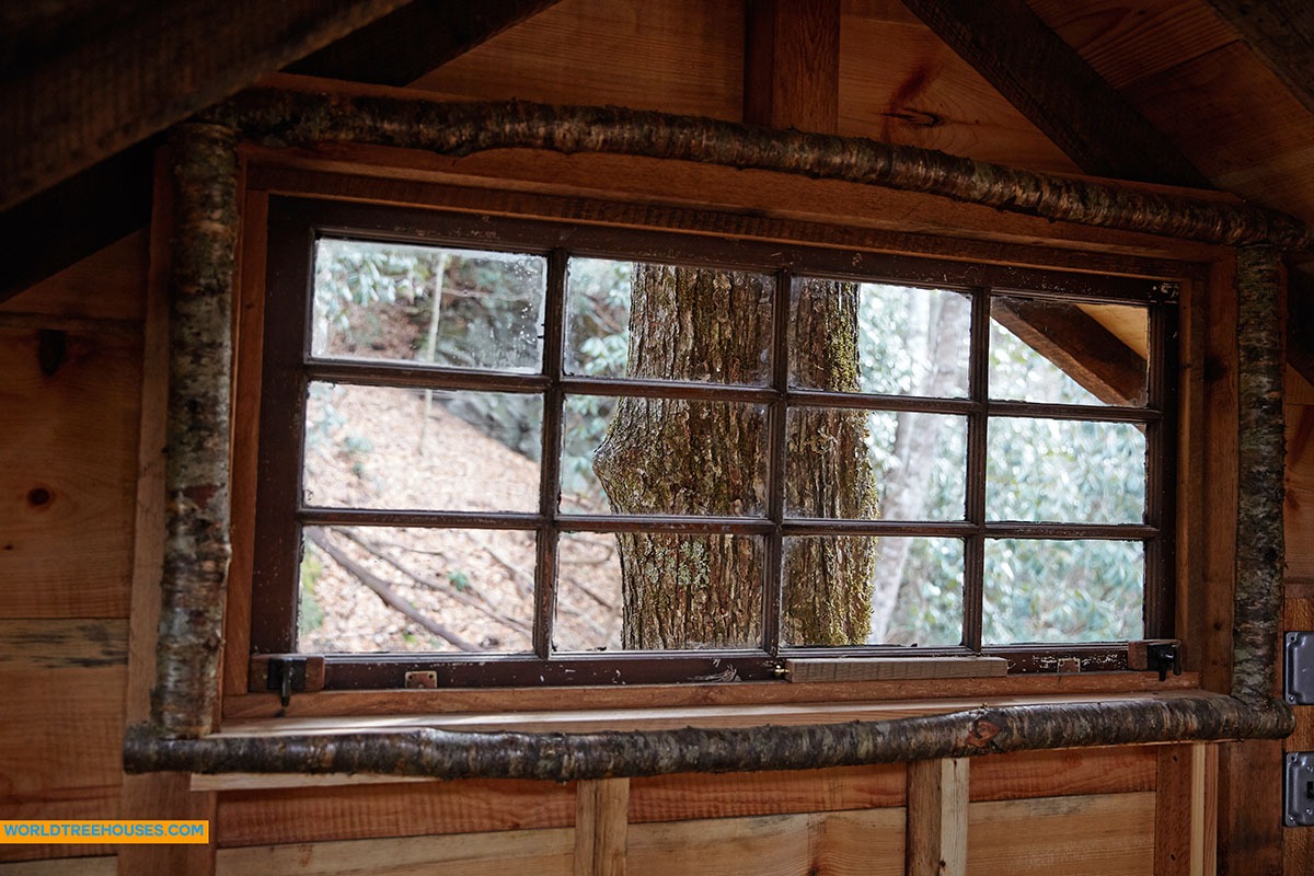 WNC treehouse builders : Window into the World of a Tree