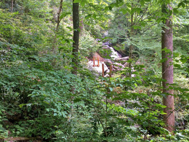 NC treehouse builders : Panthertown swimming hole access: View of bridge from the path above