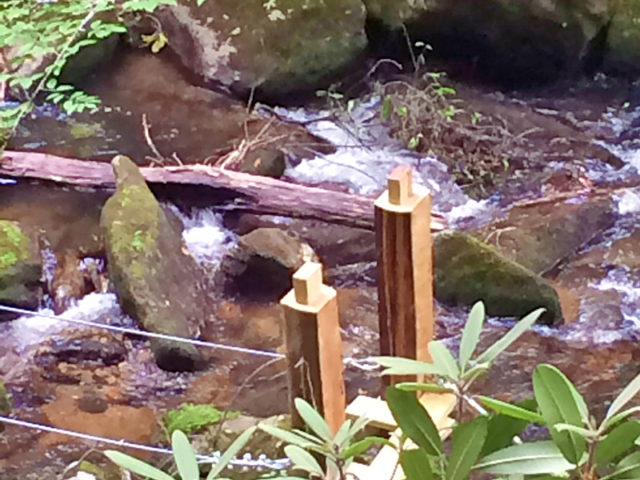 Western NC tree house builder: Panthertown swimming hole access: timber-frame posts with tenons