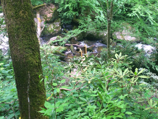 NC treehouse builders: Panthertown swimming hole access: Can you spot our timberframe tenons?