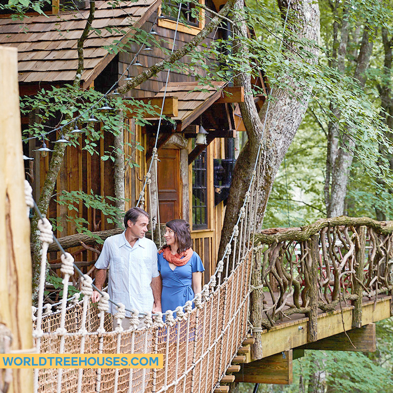 WNC treehouse builder