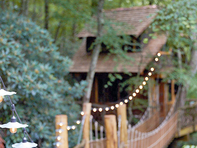 Western NC tree house builder: Panthertown treehouse:  All wrapped up in a blanket of green trees!