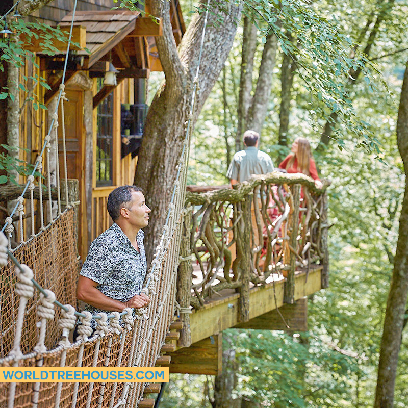 WNC tree house builders: Panthertown Treehouse: Experience nature in a truly unique way high up in the forest