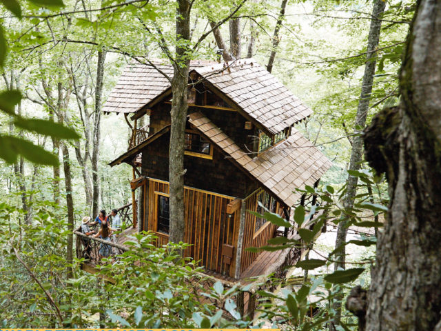 WNC treehouse builder: Panthertown Treehouse: Way on up the mountain!