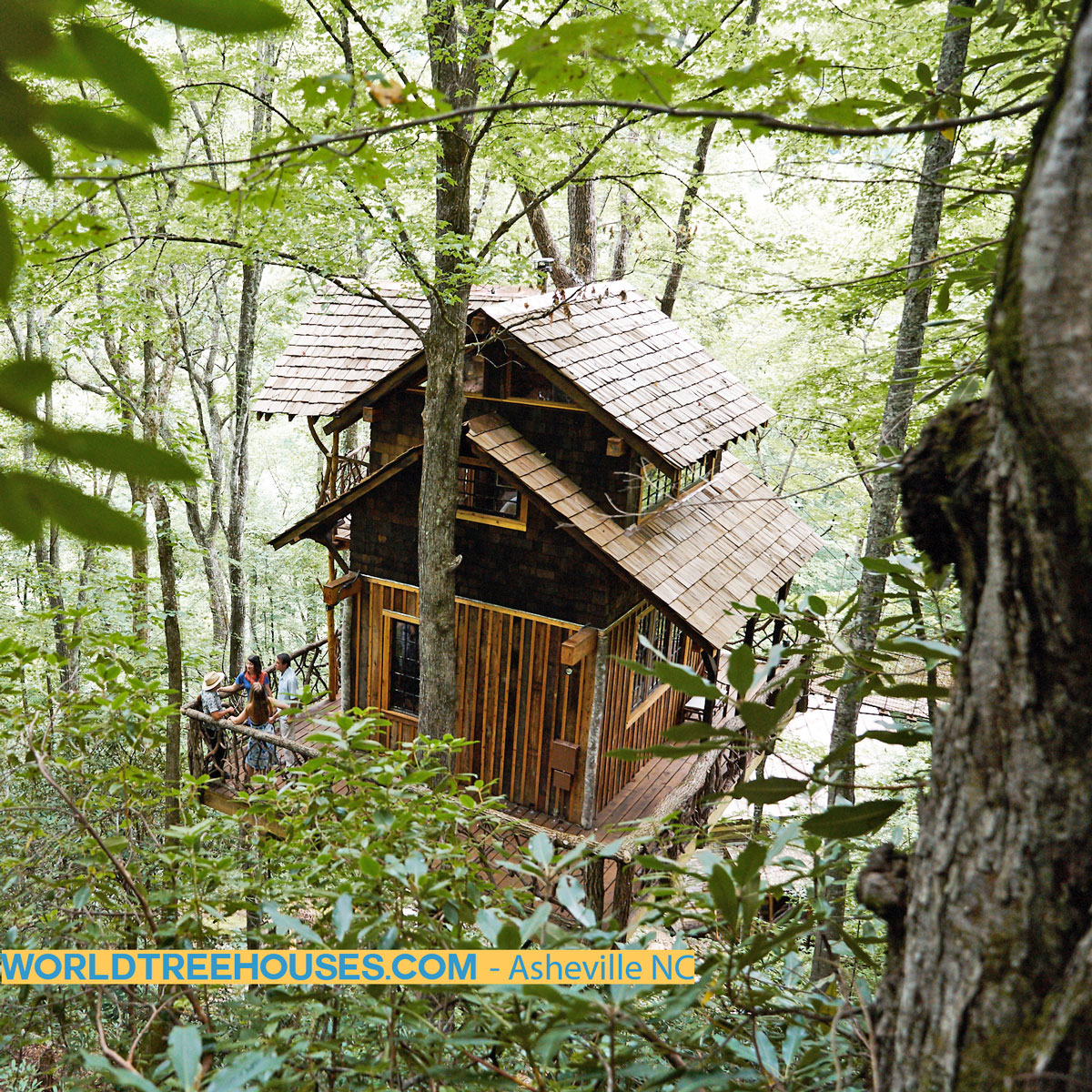 WNC treehouse builder: Panthertown Treehouse: Way on up the mountain!